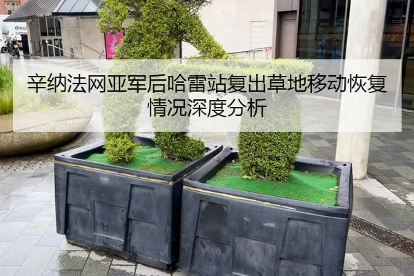 辛纳法网亚军后哈雷站复出草地移动恢复情况深度分析